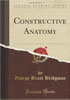 Constructive Anatomy Cover Link